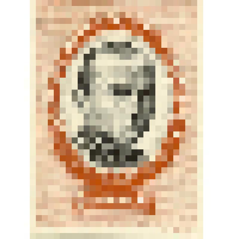 Портрет писателя Тукая