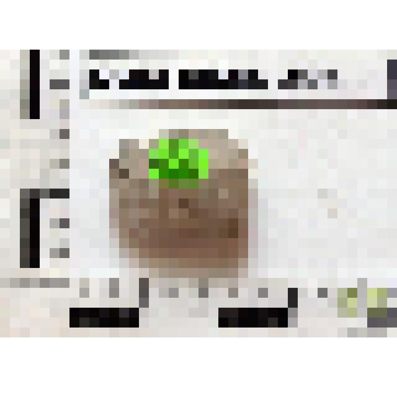 Буса