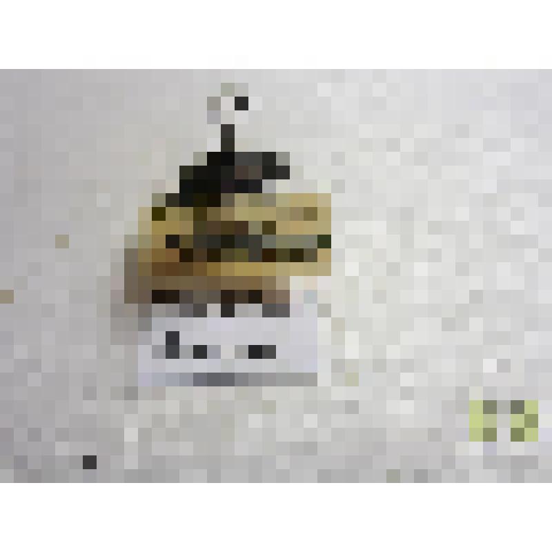 Щелкун блестящий (Selatosomus aeneus)