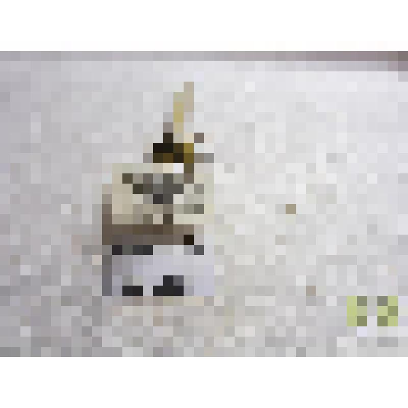 Рыжая навозная муха (Scopeuma stercorarium L.)