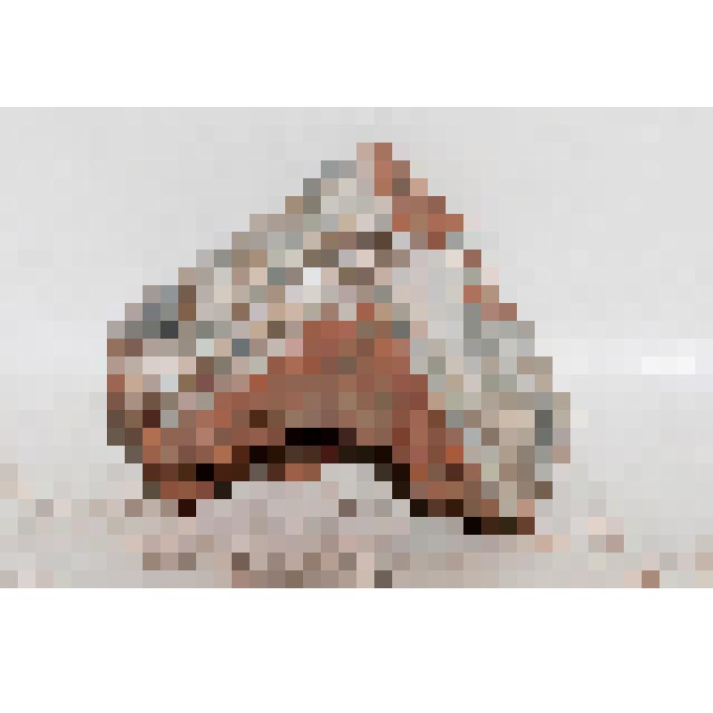 Изразец - нога (фрагмент) рельефный двухцветный