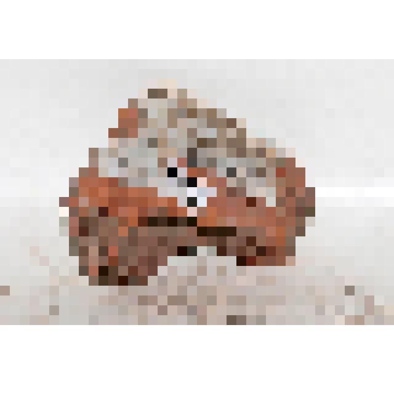 Изразец - нога (фрагмент) рельефный двухцветный