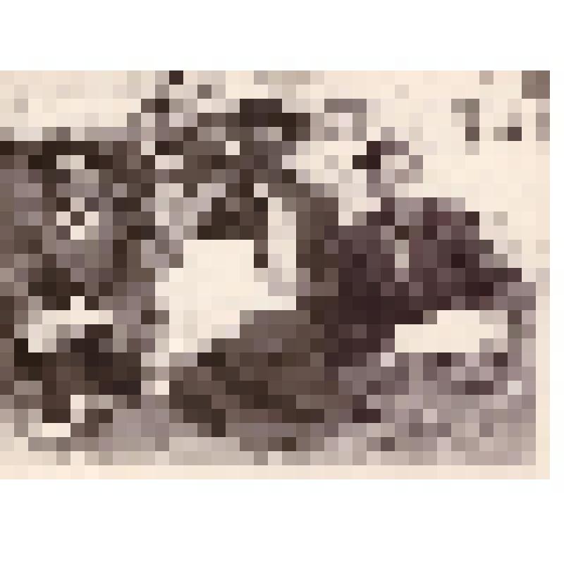 Групповая фотография с Мочаловым Н.А