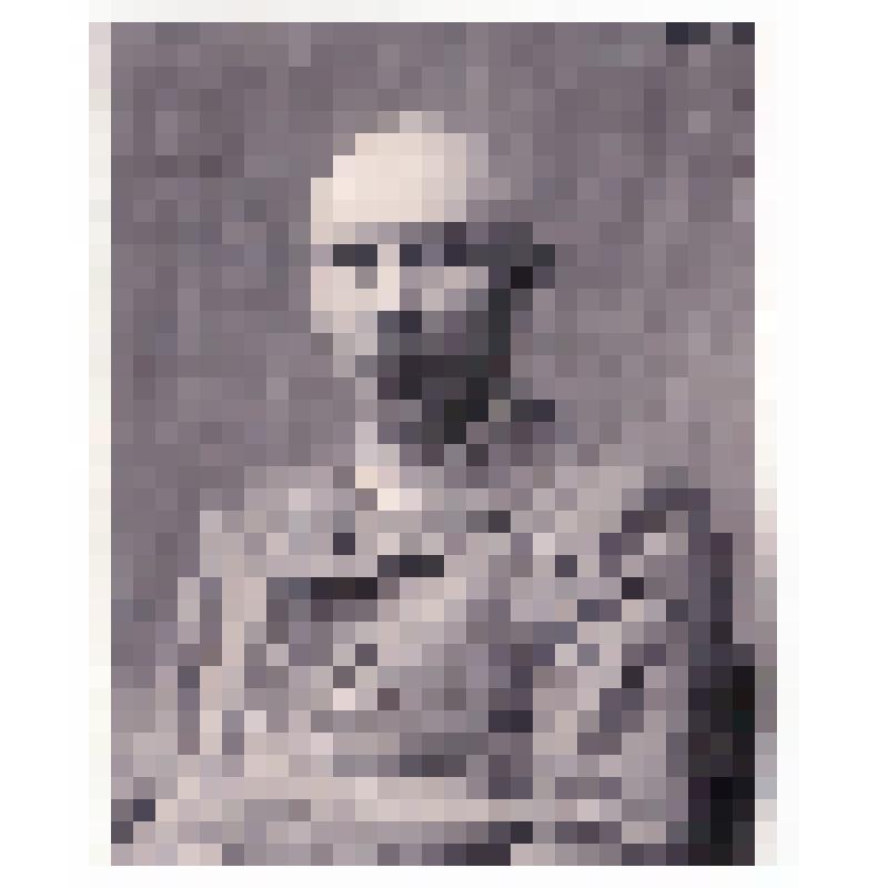 А.С.Серафимович