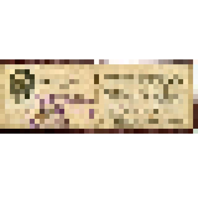 Удостоверение № 2 бывшего красногвардейца и красного партизана С.Т. Артегова