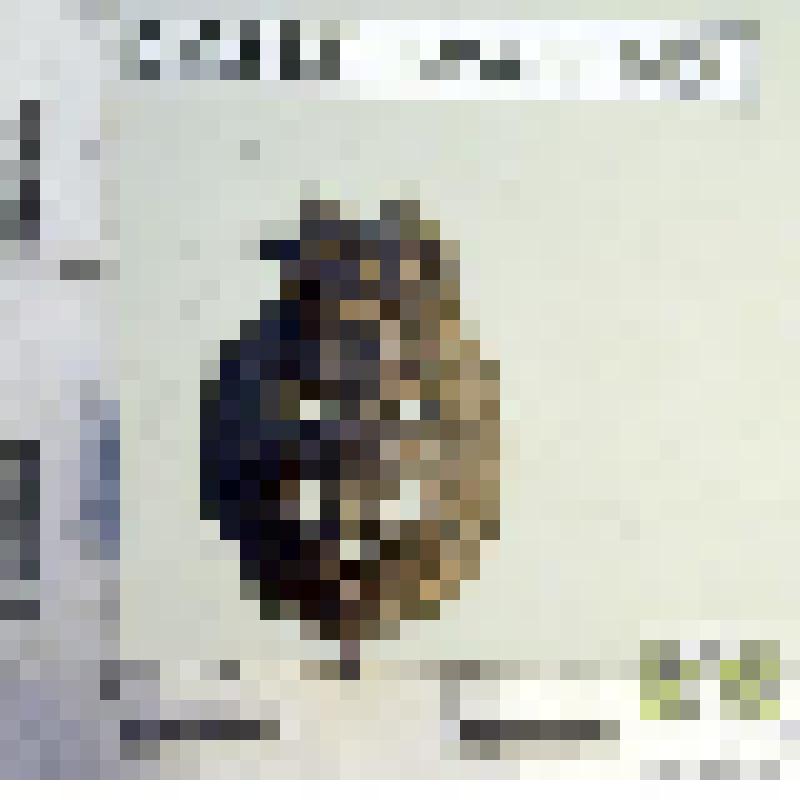 Знак петличный почтового ведомства,
