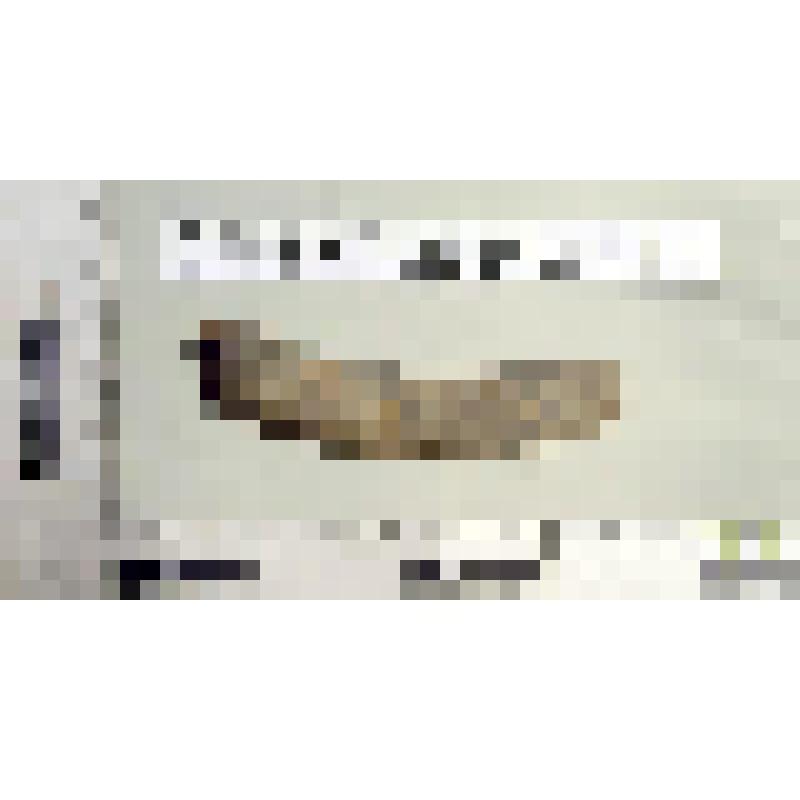 Браслет витой, непрозрачный, окисленный