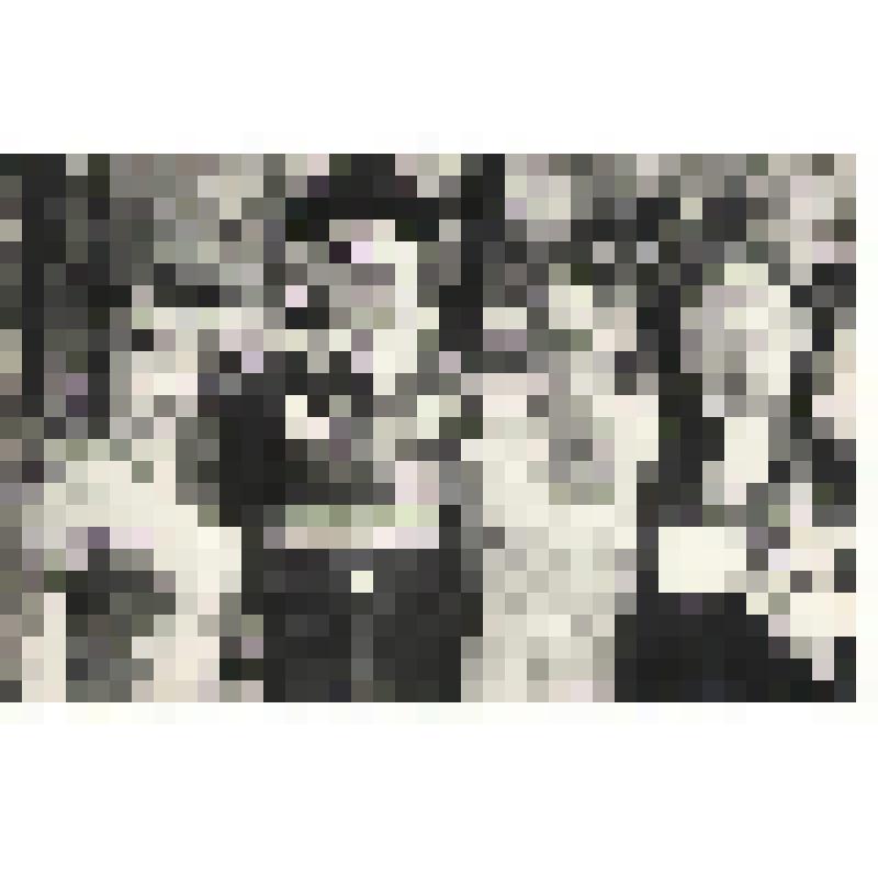 Фотография. Валиев Р.А. с семьей