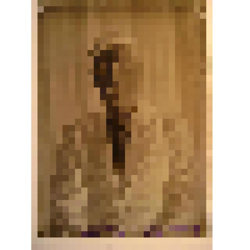 Негатив. Портрет поясной мужчины