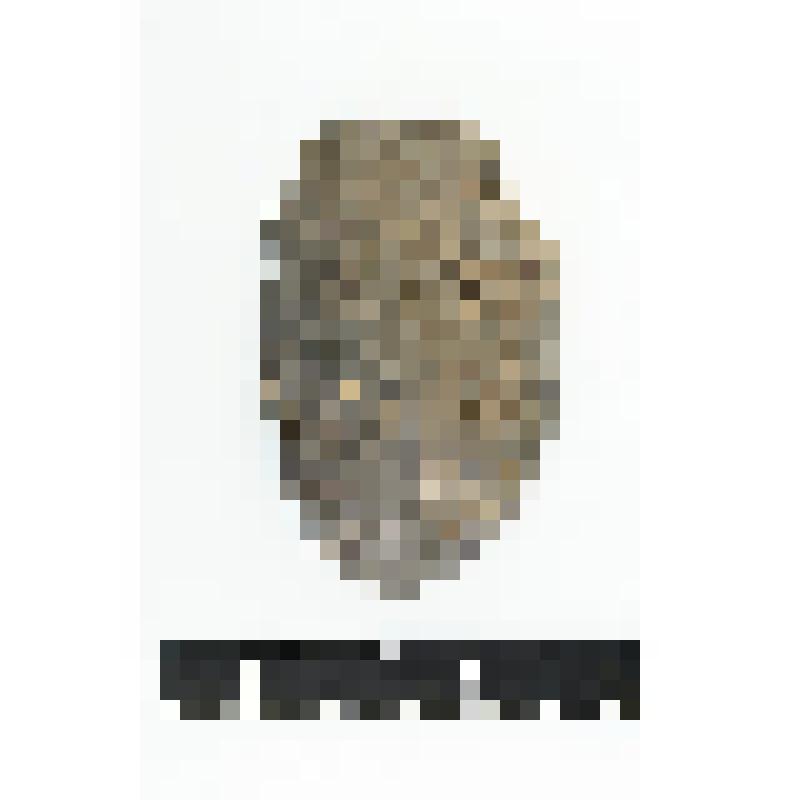 Скол