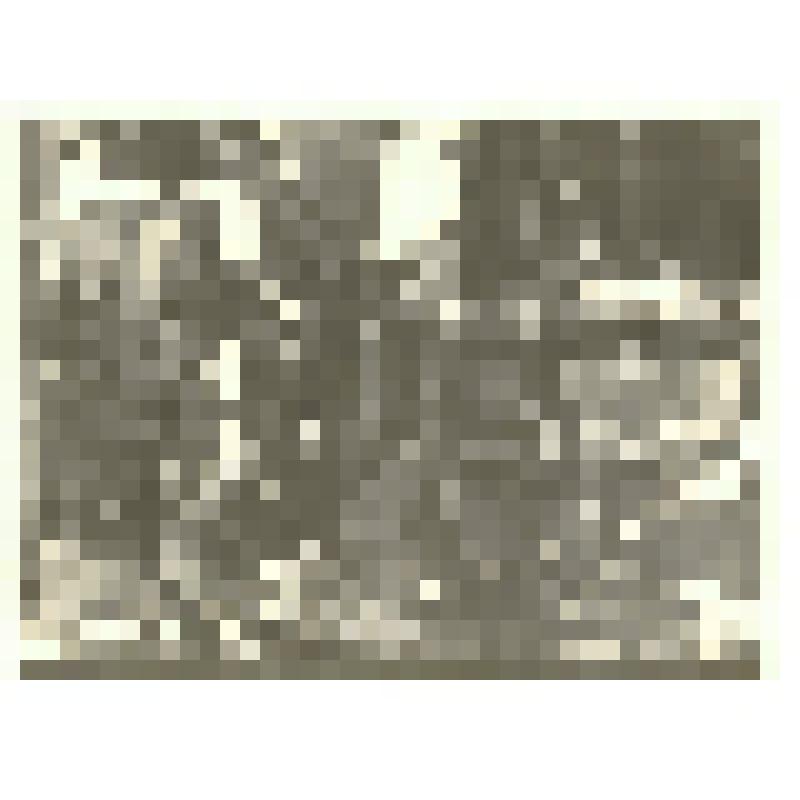 Фотография. Бурильщики на буровой Озек-Суатского нефтепромысла. Грозненская обл., Ачикулакский р-н, 1953 г