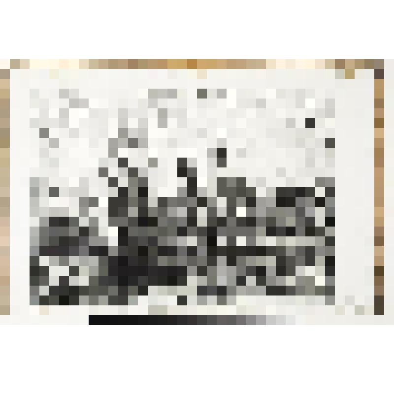 Яхты, гравюра