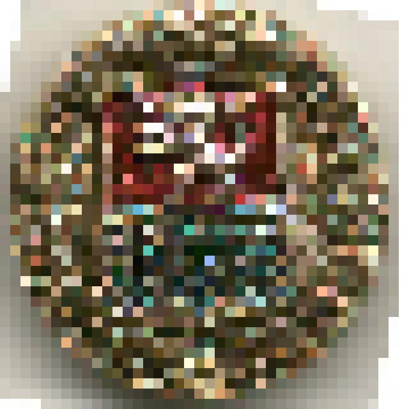 Значок нагрудный с изображением герба г.Гороховец. Серия "Золотое кольцо". Из коллекции по теме "Геральдика"