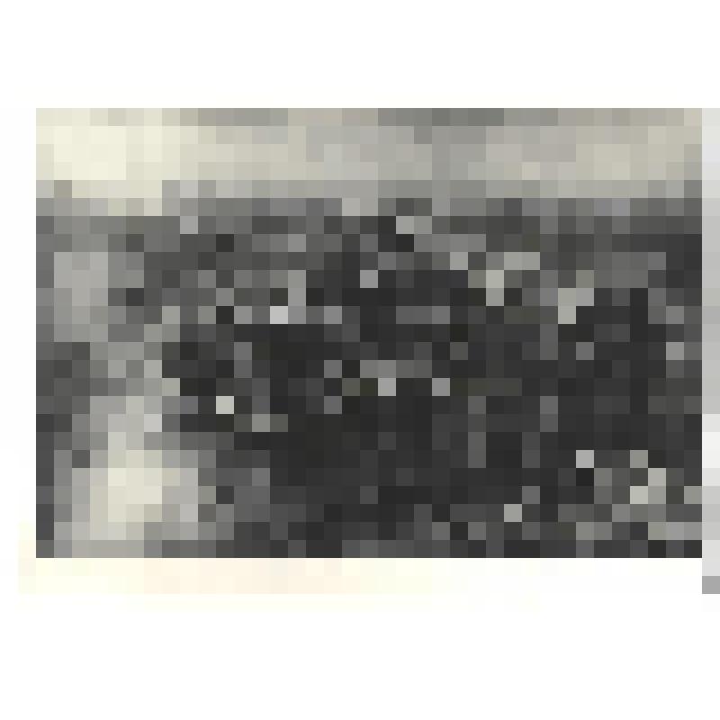 Фотографии. Фото ч/б. Знамя победы над рейхстагом в Берлине 1 мая 1945 г