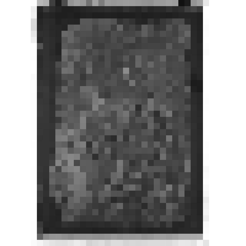 Негатив на стекле. Иллюстрация к повести П. Павленко "Повесть о Лермонтове"