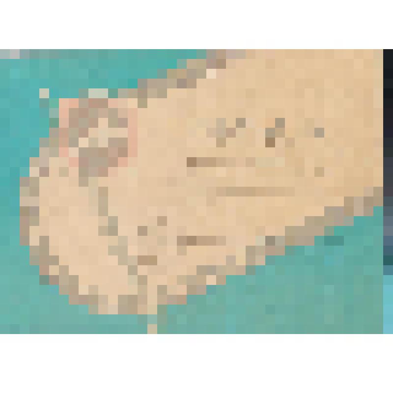 Грамота,Команда коллектива Поронайского морского торгового порта, I место по гиревому спорту в зачет  спартакиады коллективов физкультуры предприятий, учреждений на 1990 год, Председатель спорткомитета В. А. Чугунов, 06.10.90 г