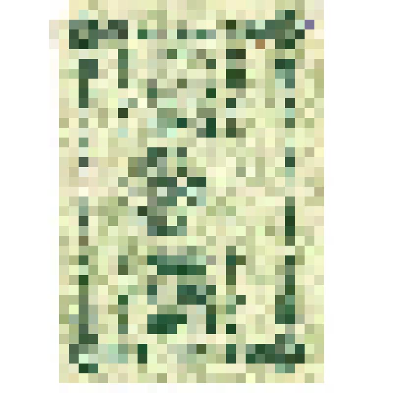 Государственный кредитный билет 250 рублей 1918 г. АБ-001