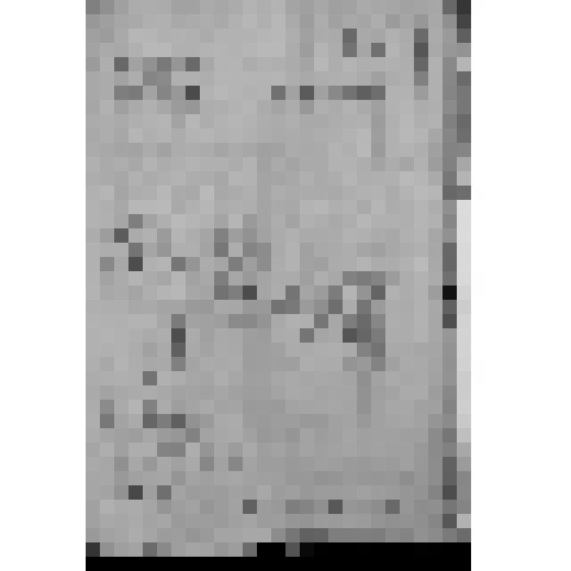 КОПИЯ ОТНОШЕНИЯ