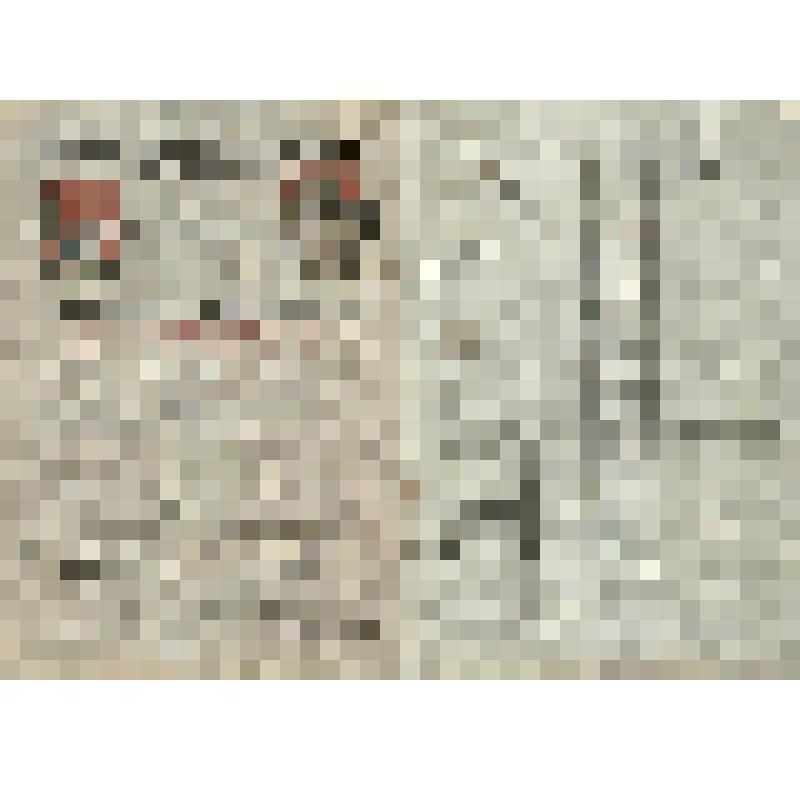 Документ. Билет комсомольский № 17326695 Романовой М.И