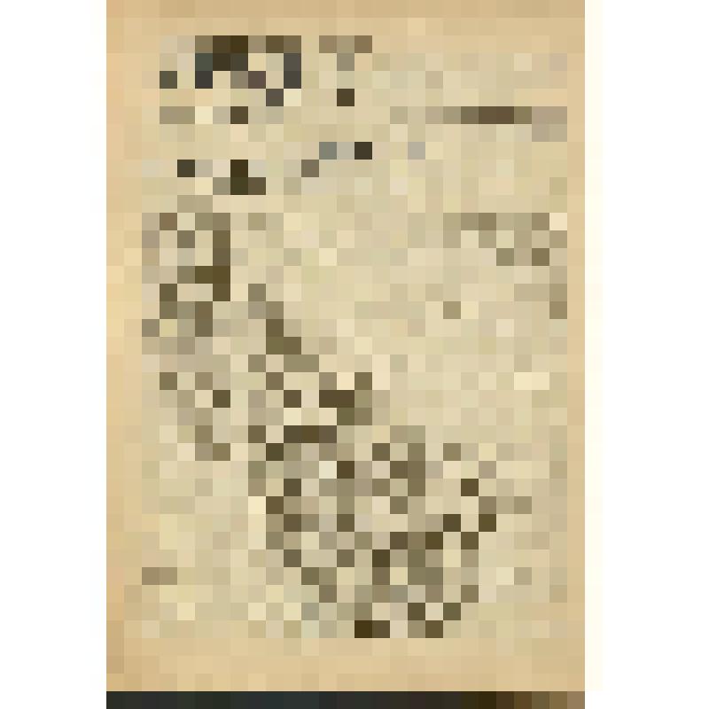 Газета. "Звезда" № 164