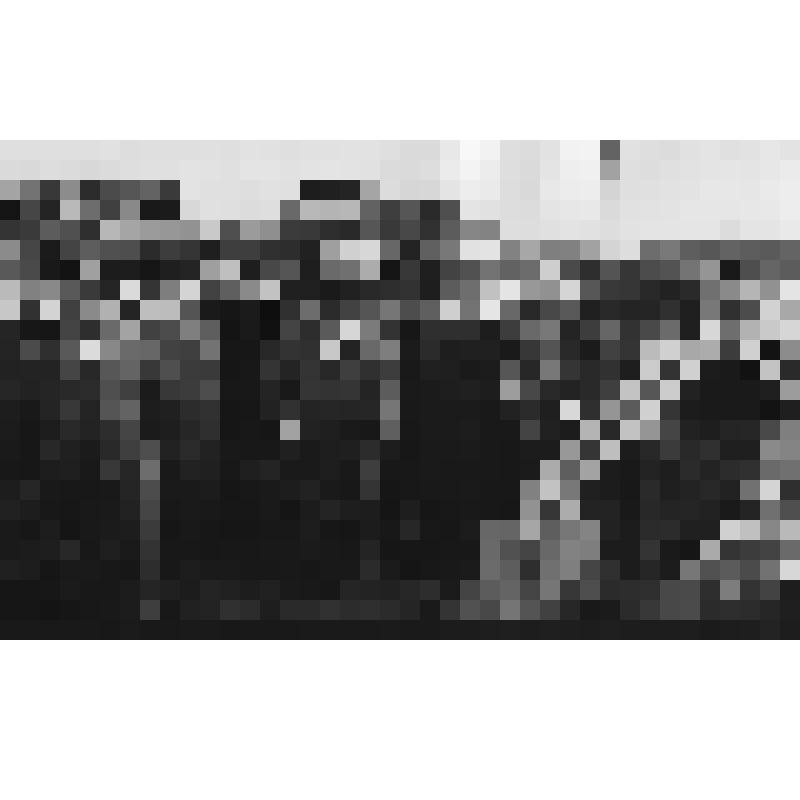 Фото. Руководители Мордовии на площадке "Мордовагроснаба"