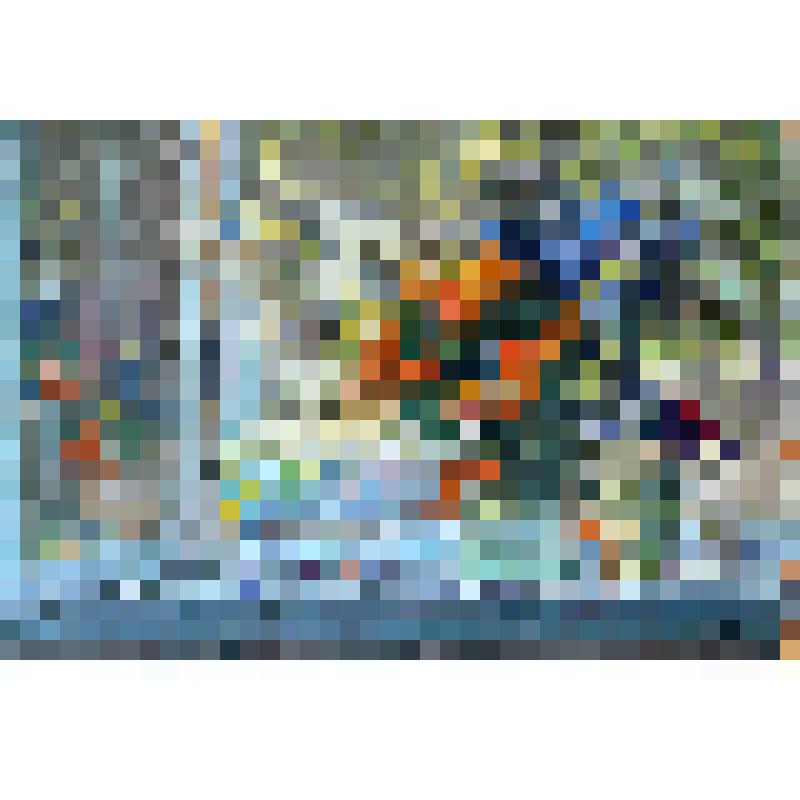 "Жарки с черёмухой"