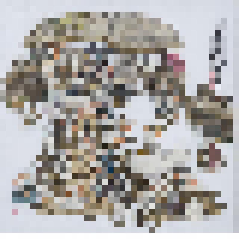 Сельский обед