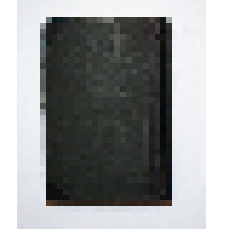 Книга. Большая энциклопедия под редакцией С.Н. Южакова, том девятый. / СПб., тип. тов-ва «Просвещение», 1902. Имеются иллюстрации вне текста, на ненумерованных страницах. Из библиотеки Н.Н. Бекетова