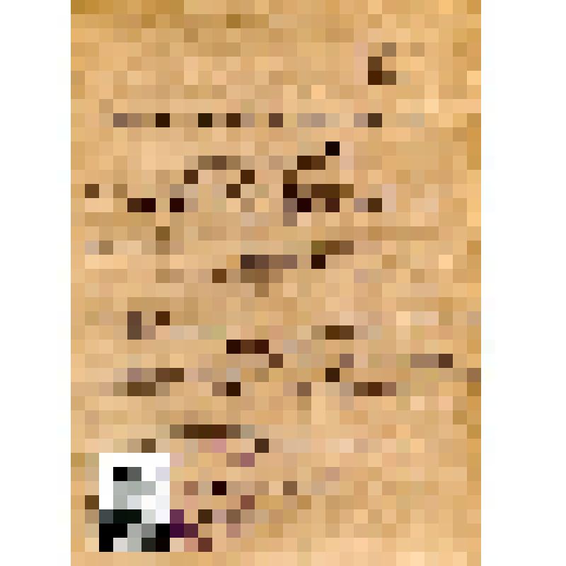 Карточка учетная члена профсоюза (членский билет №81759526) Мачулиной Нины Дмитриевны - дрожжевода Азовского хлебозавода
