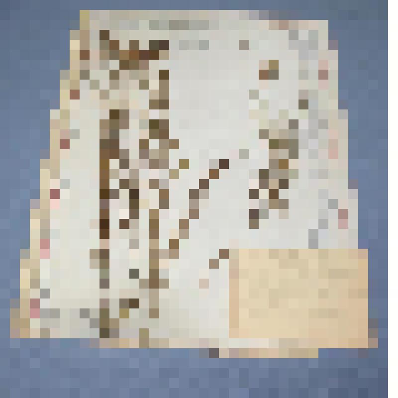 Ботаническая коллекция. Льнянка обыкновенная, семейство лютиковые, на гербарном листе, РХ, Алтайский район, с. Кирово, около сада в канаве. C. Ranuncukaceae  P.  Inaris B. Vulgaris