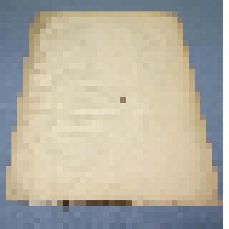 Ботаническая коллекция. Льнянка обыкновенная, семейство лютиковые, на гербарном листе, РХ, Алтайский район, с. Кирово, около сада в канаве. C. Ranuncukaceae  P.  Inaris B. Vulgaris