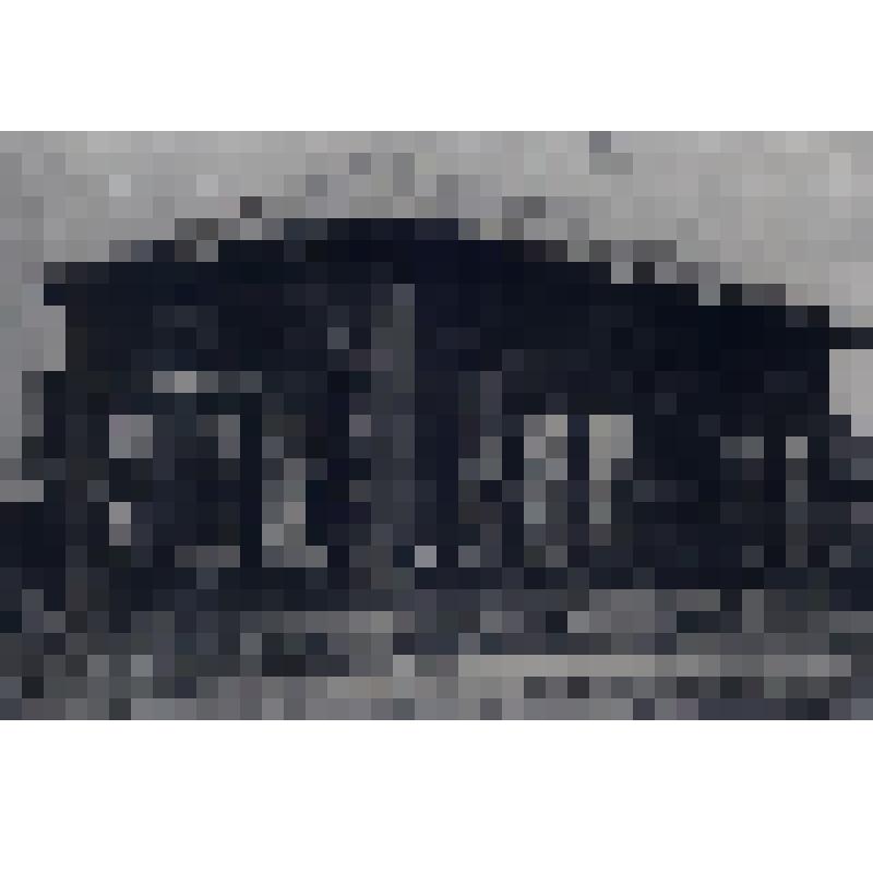 Фотография. Здание, в котором размещалась Тобольская ветеринарно-фельдшерская школа в 1894 году