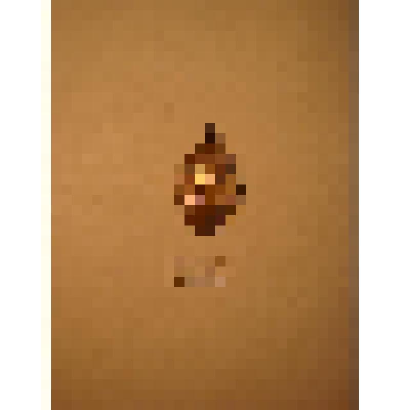 Жетон с изображением Л.Н.Толстого