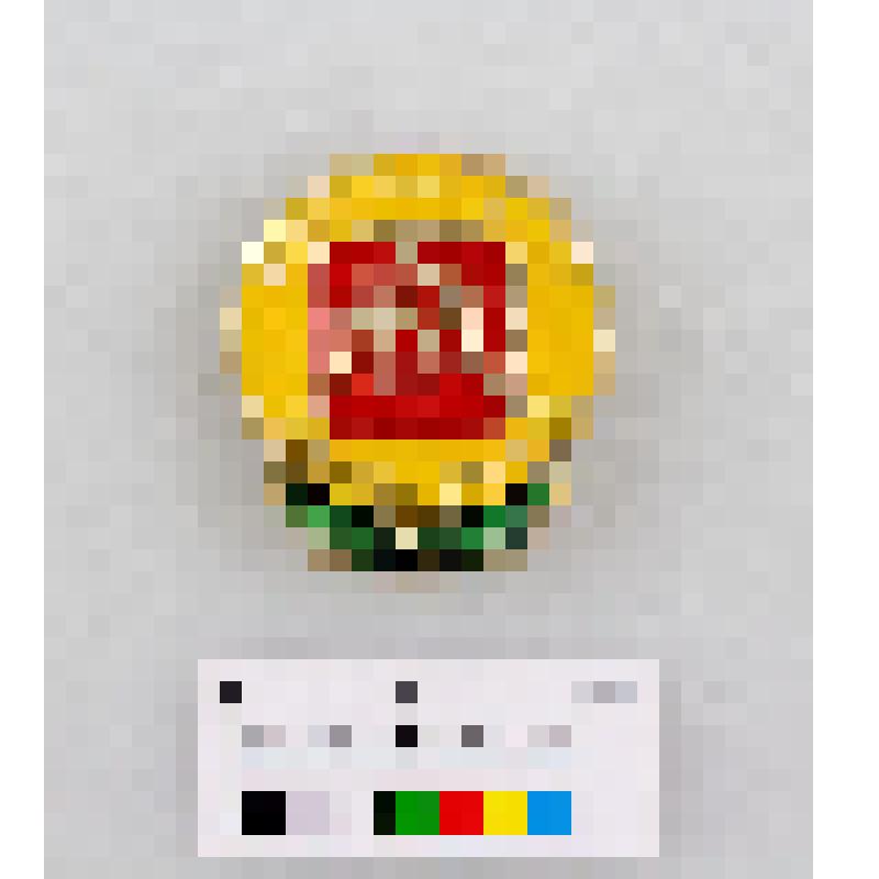 Значок "Чемпионат мира. Вольная борьба. 1983"