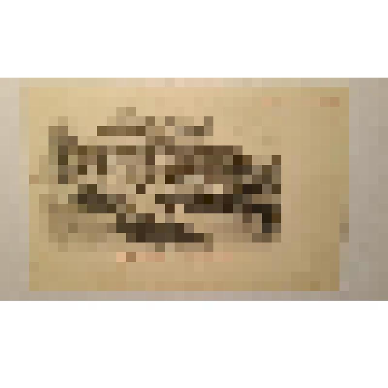 Государственный театр оперы и балета, ул. Ленина. 1887г. Украина, г. Одесса. Городской театр. Фельнер; Гельмер Г. Боковой фасад. Издатель не указан