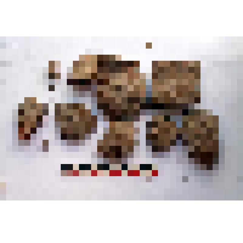 Сосуд лепной фрагментированный