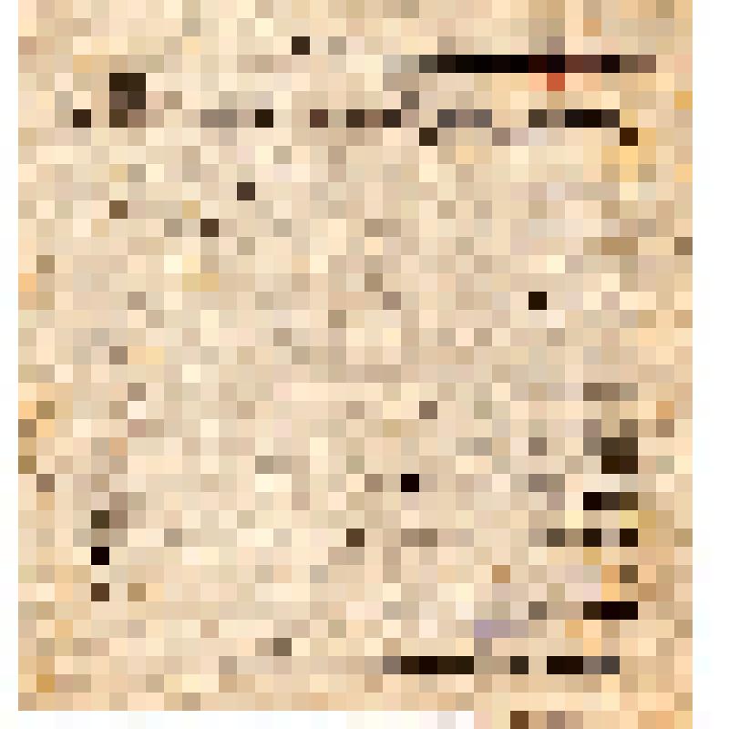 Агитационно-просветительный отдел Вятского губвоенкома. Белые и Красные