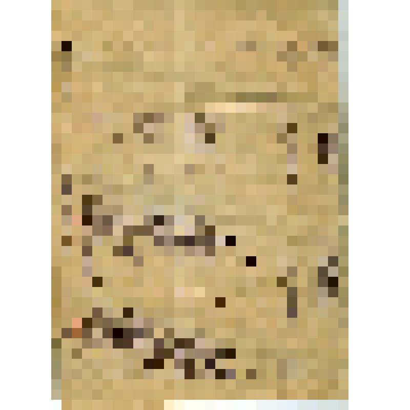 Список лиц, лишенных избирательных прав по Григорьевскому сельсовету