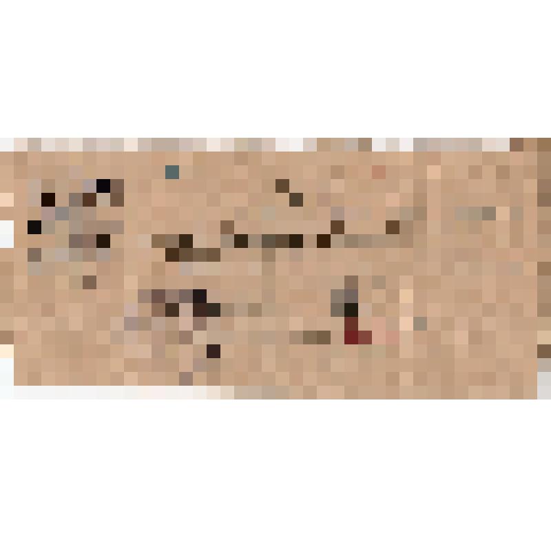 Мандат N 155 т. Улумбековой, мобилизованной на борьбу с эпидемией в Петропавловском районе