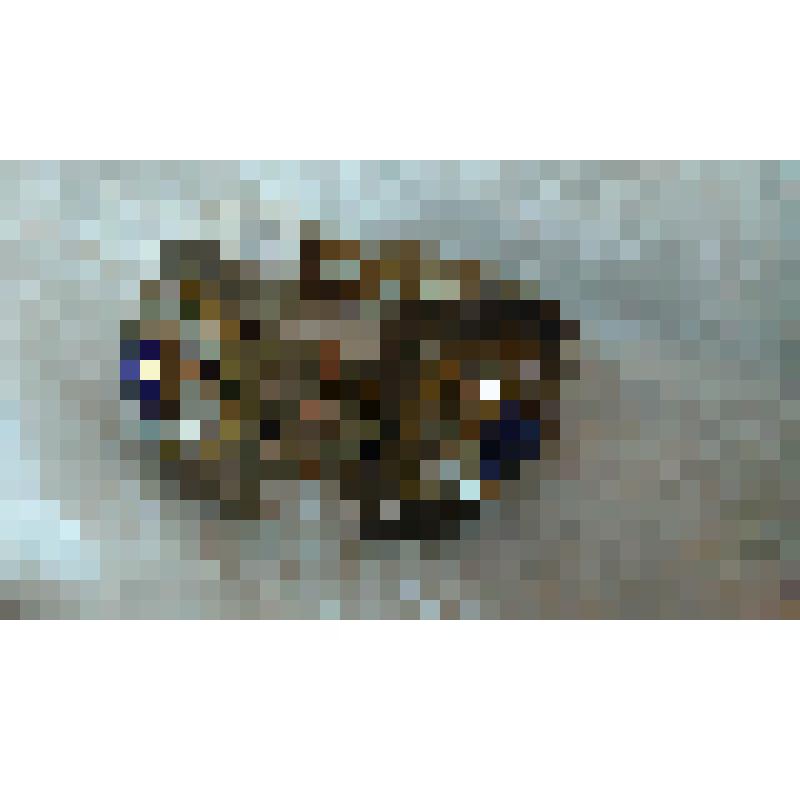 Деталь костюма В.А. Давыдовой  к партии Амнерис. Браслет из латуни. "Аида". Верди Дж.; 1922, реж. Лосский В.А., худ. Кольбе Г.Ф