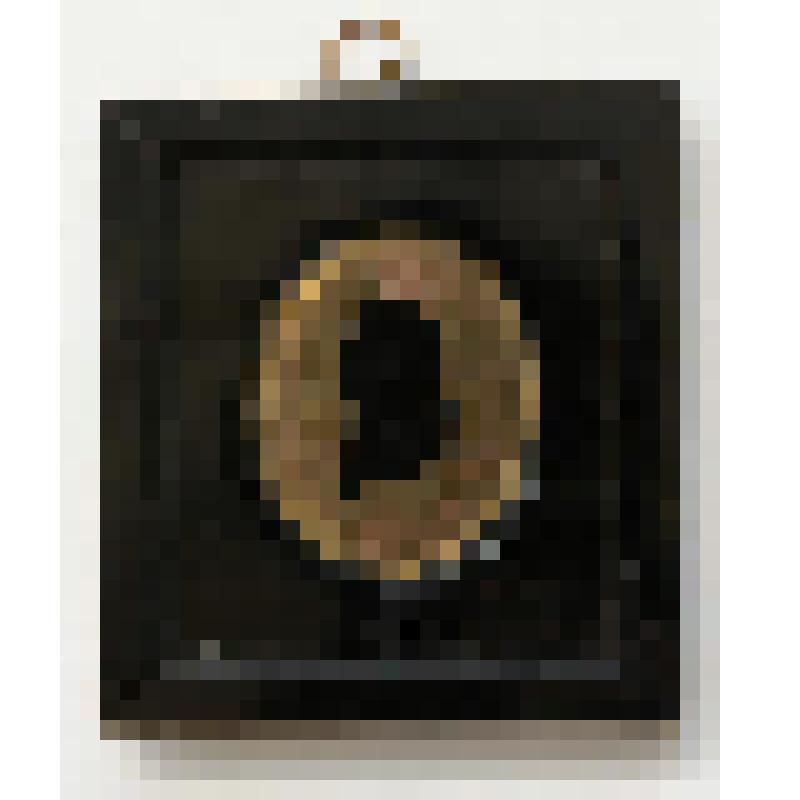 Миниатюра. "Мужской портрет в овале, украшенный рамочкой геометрического орнамента"