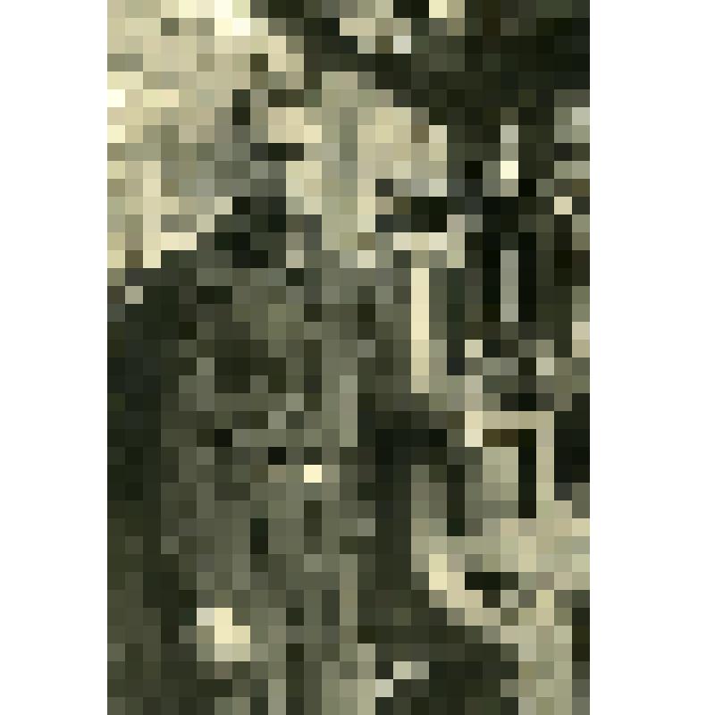 Фотография. Н.А. Фирст, стахановец-фрезеровщик Киевского машиностроительного завода имени Артема