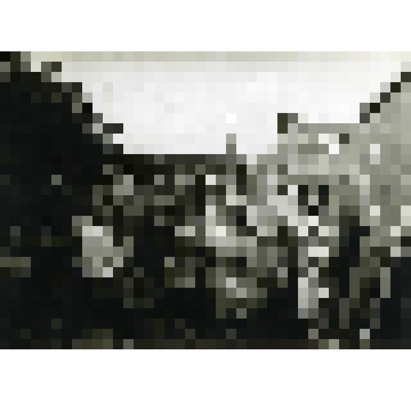 Фотография. Колхозники совхоза им. Ленина на отдыхе. Село Дьяковское