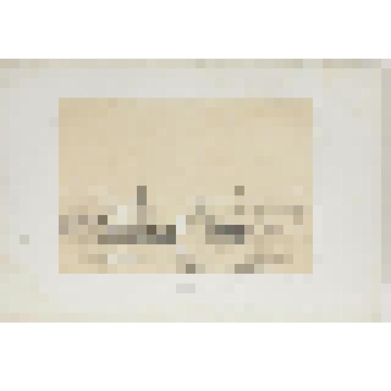 Литография. "Гавр. Северный мол и башня Франциска I."