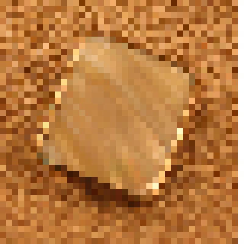 Серьга перламутровая прямоугольная Ермаковой В.А., народной артистки СССР, из коллекции материалов Ермаковой Валентины Александровны (1924-2003), народной артистки СССР, лауреата Государственной премии России и премии имени Станиславского, профессора Сара