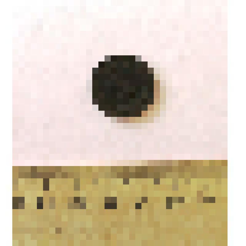 Монета 1 копейка 1912 года