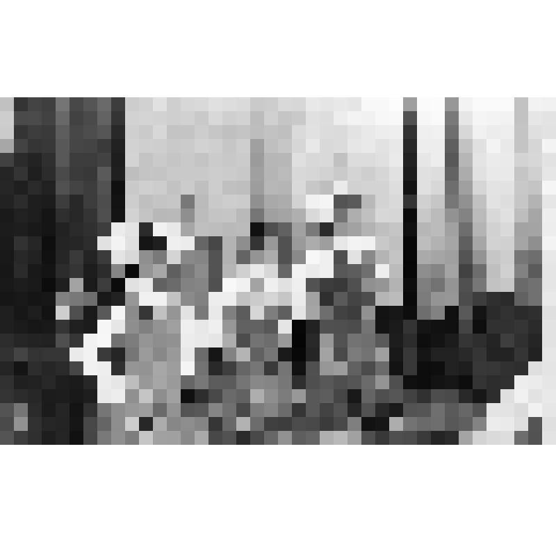 Фотография. Выступление учащихся школы