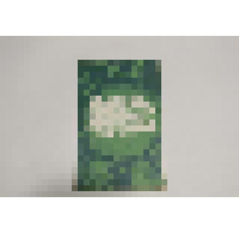 Книга. Шэжэрэ Мамбет (на баш.яз.). Уфа, "Китап", 1994 г