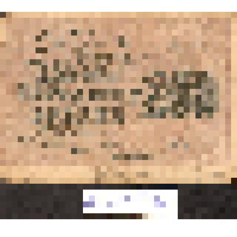 Расчетный  знак "250 рублей" образца 1919г.. РСФСР