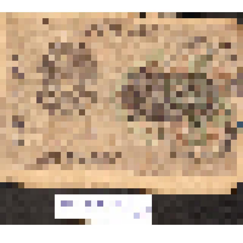 Расчетный  знак "250 рублей" образца 1919г.. РСФСР